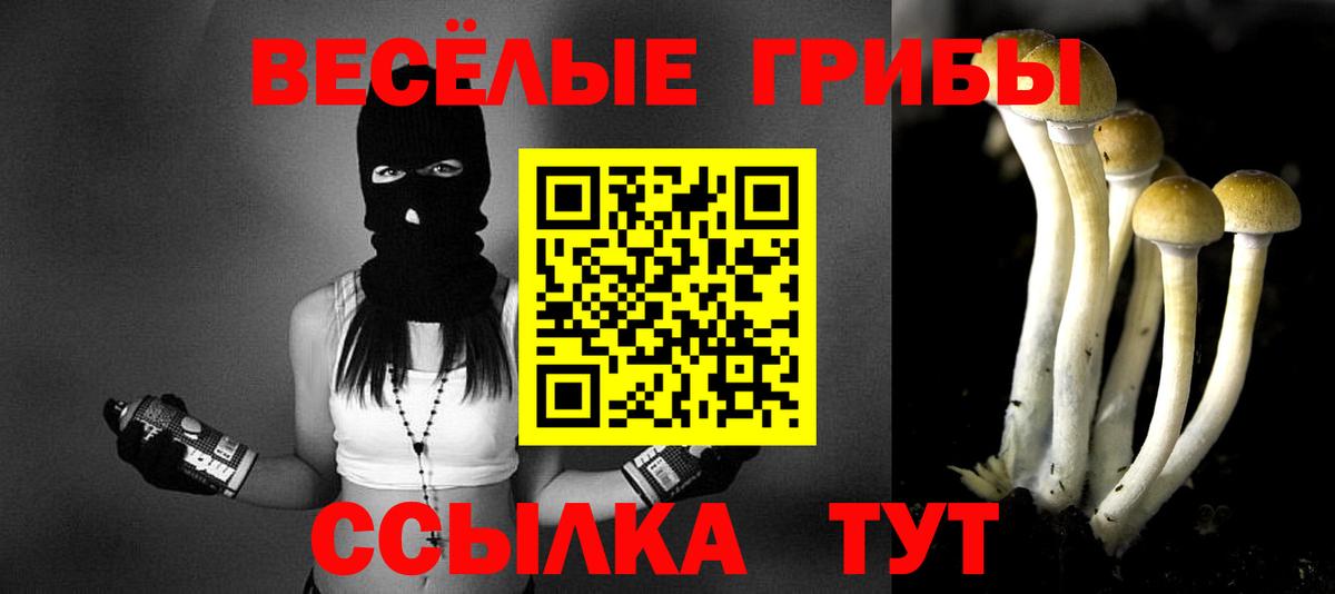 Семилуки  Псилоцибиновые грибы мухоморы  Псилоцибиновые грибы Magic Shrooms  Вход с VPN 