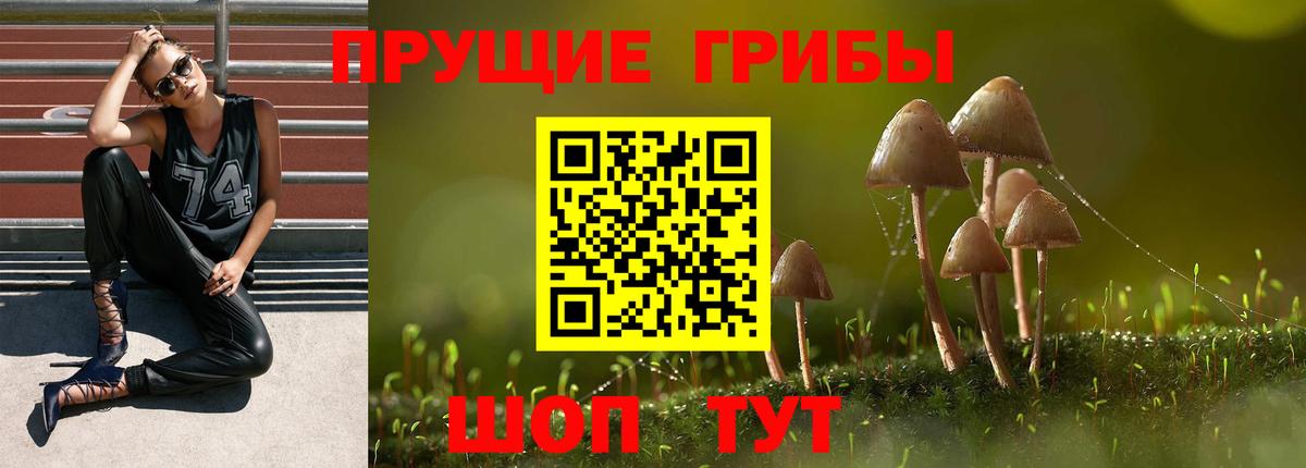 Галлюциногенные грибы мицелий Семилуки