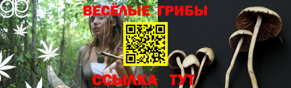 ГАШ Семилуки